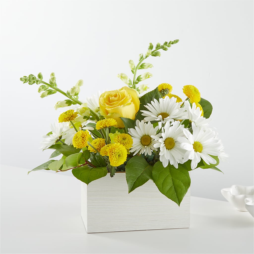 Sun Salutation Box Bouquet – Flowers By Roger Inc, Middletown OH