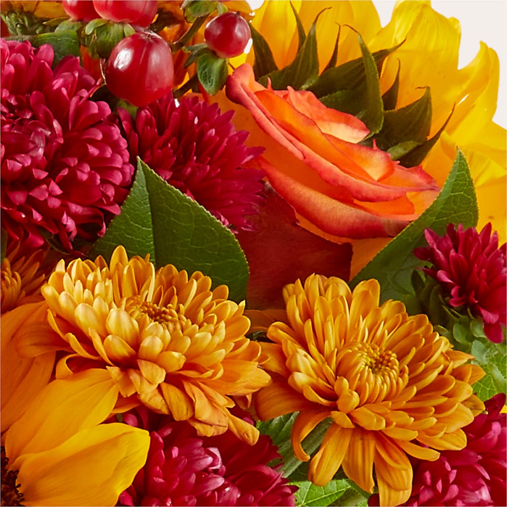 Sweater Season - A Florist Original – Flowers By Roger Inc, Middletown OH