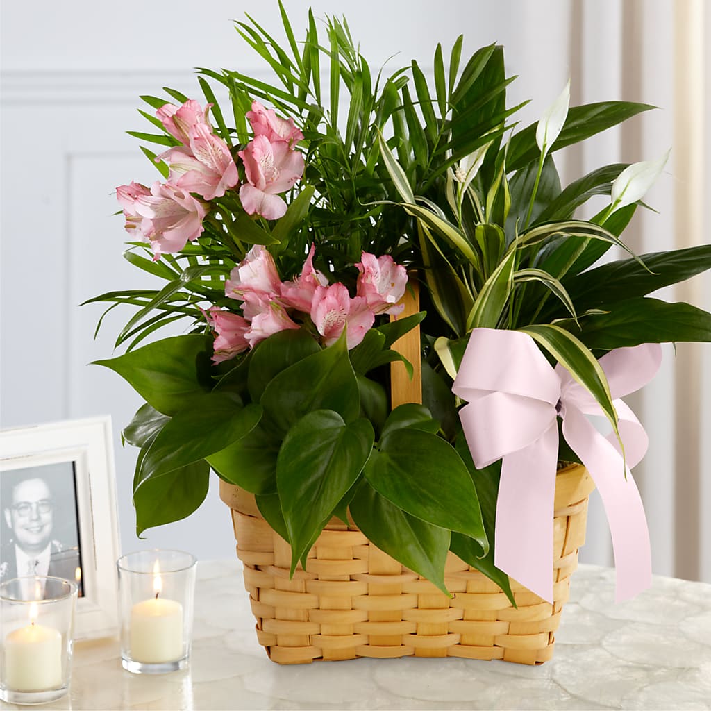 Living Spirit Dishgarden – Flowers By Roger Inc, Middletown OH