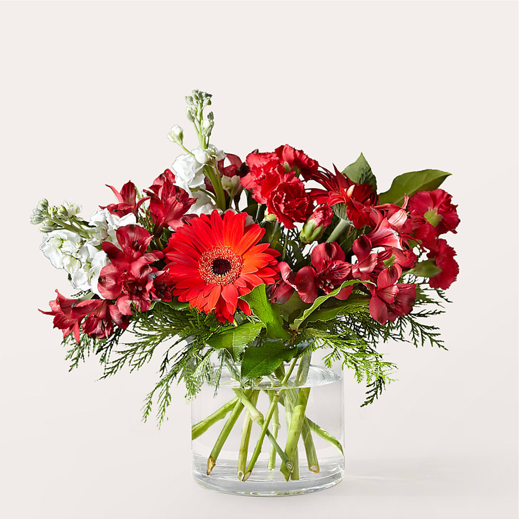 Holidaisy Bouquet – Flowers By Roger Inc, Middletown OH
