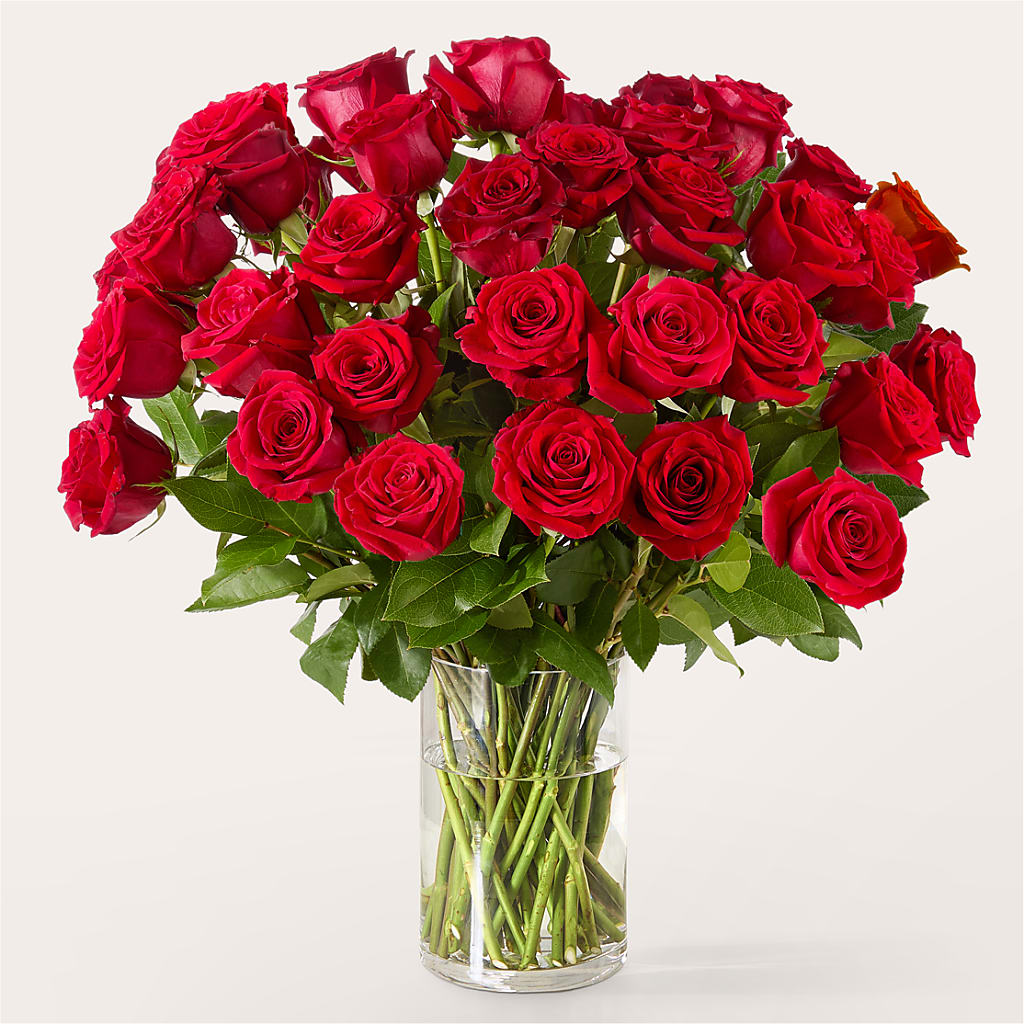 The One Red Rose Bouquet – Flowers By Roger Inc, Middletown OH