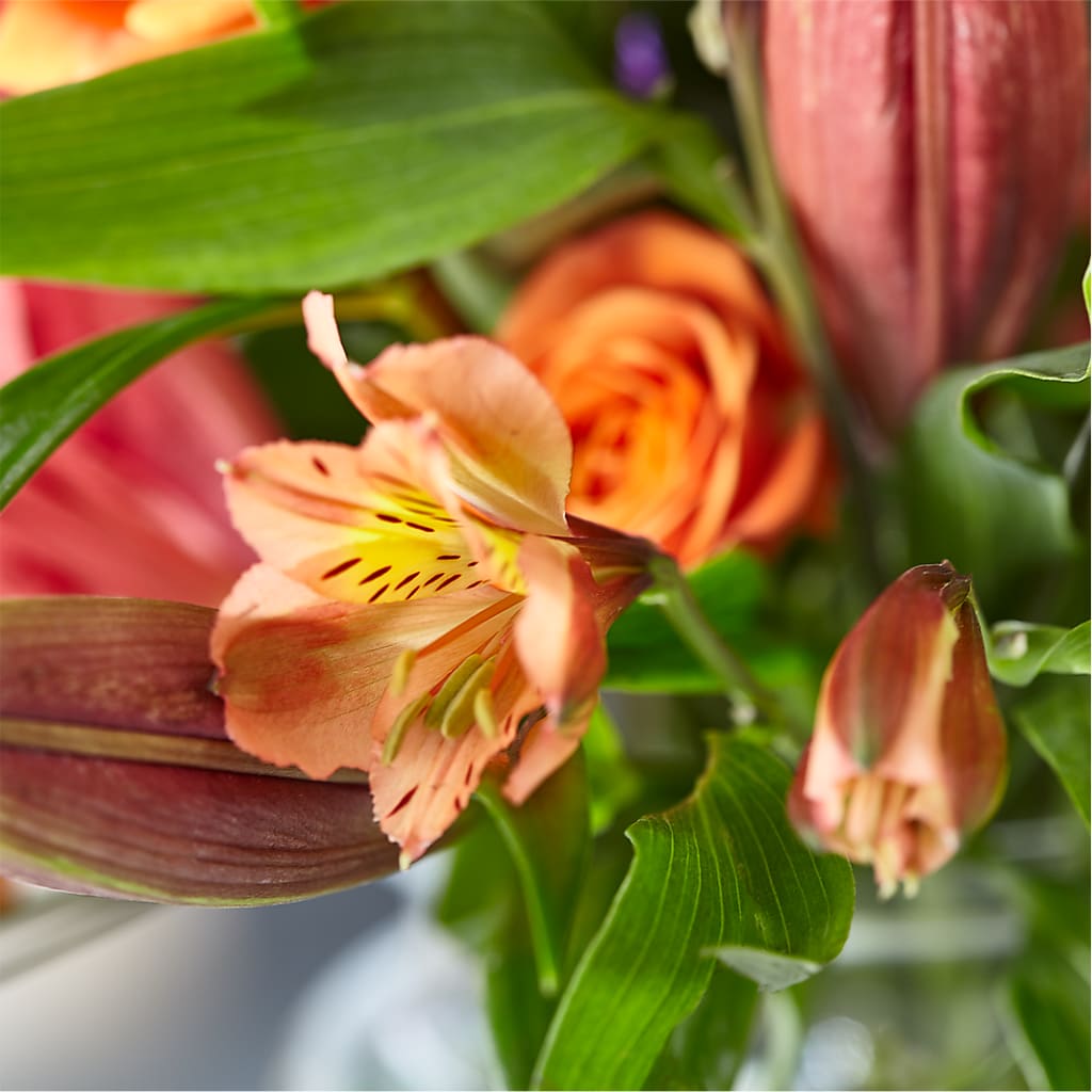 Bold & Bright – A Florist Original –  Flowers By Roger Inc, Middletown OH