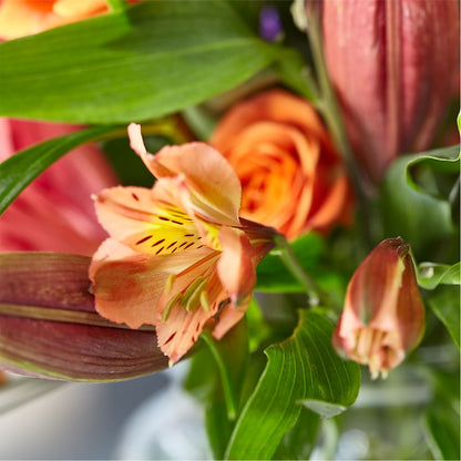 Bold & Bright – A Florist Original –  Flowers By Roger Inc, Middletown OH