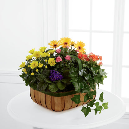 Gentle Blossoms Basket –  Flowers By Roger Inc, Middletown OH