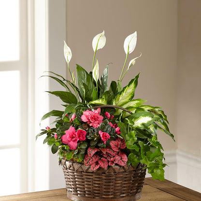 Dream in Pink Dishgarden –  Flowers By Roger Inc, Middletown OH