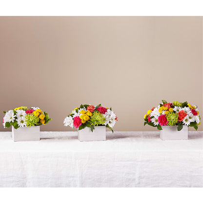 Sorbet Bouquet –  Flowers By Roger Inc, Middletown OH