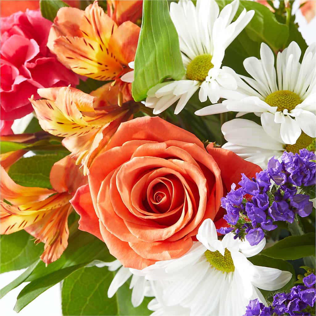 Oopsie Daisy Box Bouquet –  Flowers By Roger Inc, Middletown OH