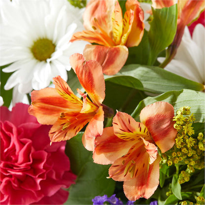 Oopsie Daisy Box Bouquet –  Flowers By Roger Inc, Middletown OH