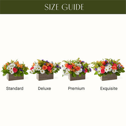 Oopsie Daisy Box Bouquet –  Flowers By Roger Inc, Middletown OH