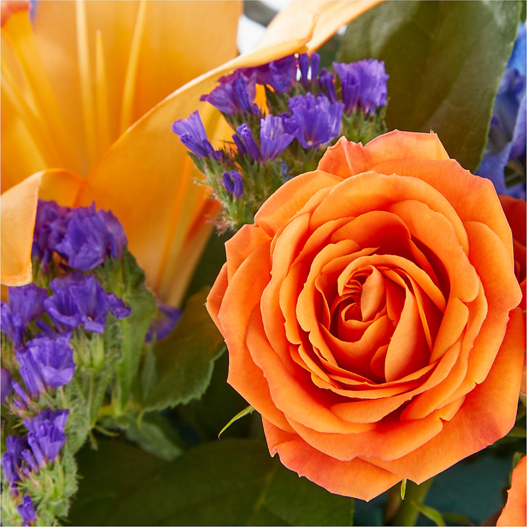 Radiant Citrus Box Bouquet –  Flowers By Roger Inc, Middletown OH