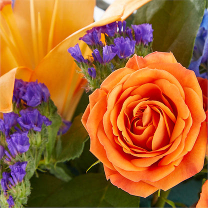 Radiant Citrus Box Bouquet –  Flowers By Roger Inc, Middletown OH