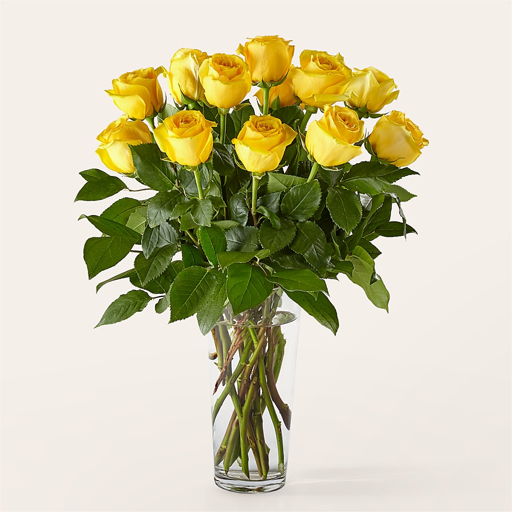 Long Stem Yellow Rose Bouquet –  Flowers By Roger Inc, Middletown OH