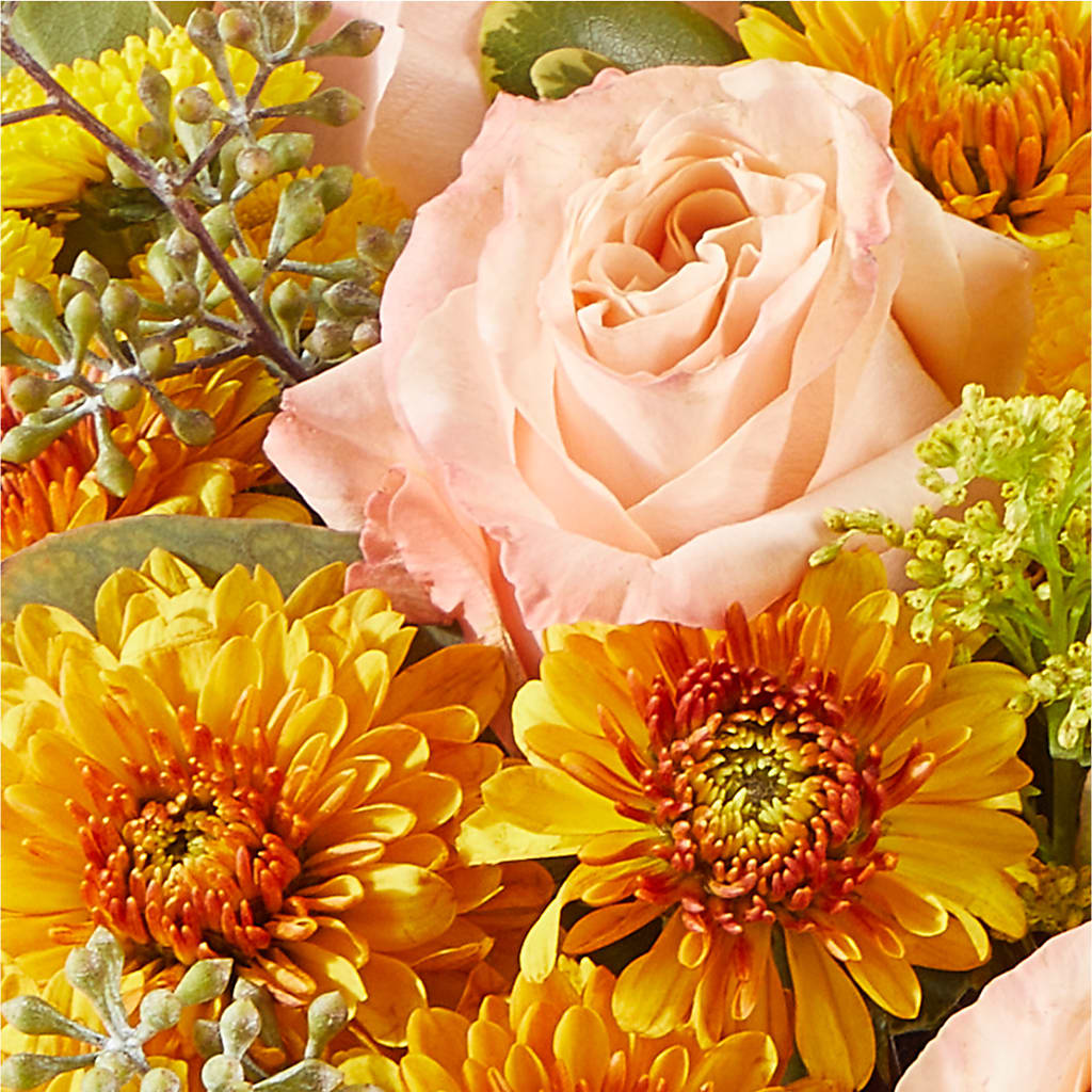 Peachy Pumpkin –  Flowers By Roger Inc, Middletown OH