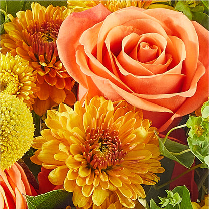 Gourdgeous Pumpkin –  Flowers By Roger Inc, Middletown OH