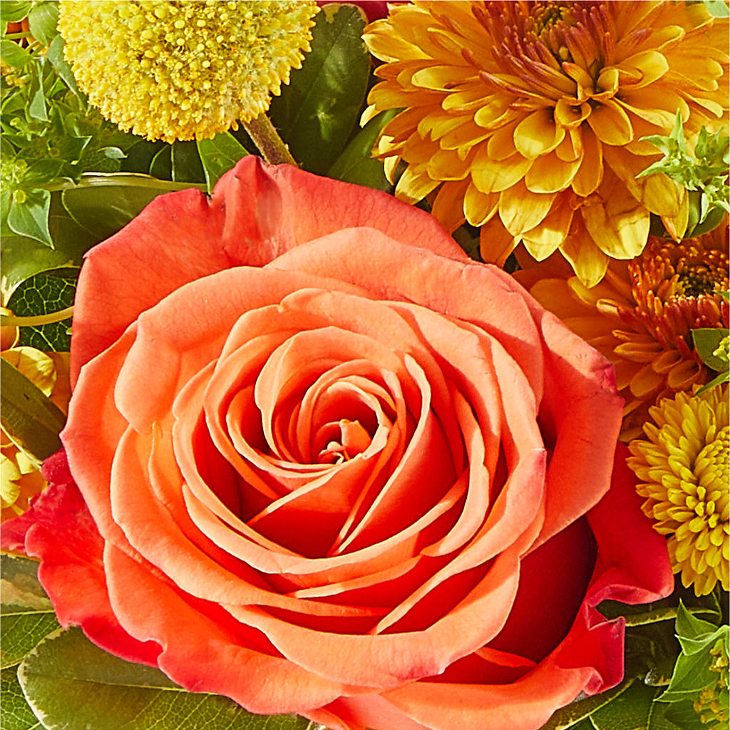 Gourdgeous Pumpkin –  Flowers By Roger Inc, Middletown OH