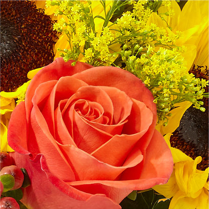 Pick of the Patch Pumpkin Bouquet –  Flowers By Roger Inc, Middletown OH
