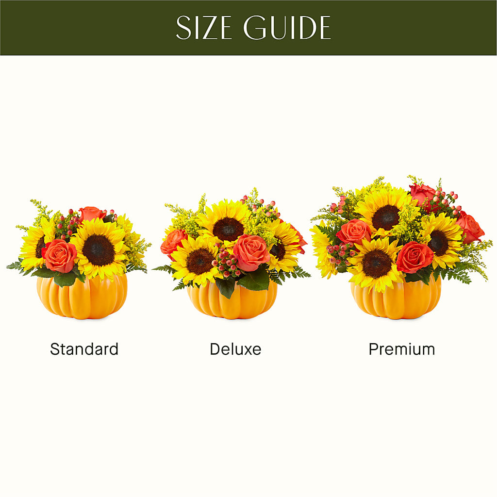 Pick of the Patch Pumpkin Bouquet –  Flowers By Roger Inc, Middletown OH