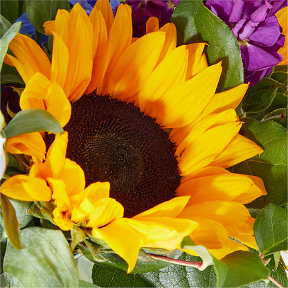 Catching Rays Bouquet –  Flowers By Roger Inc, Middletown OH