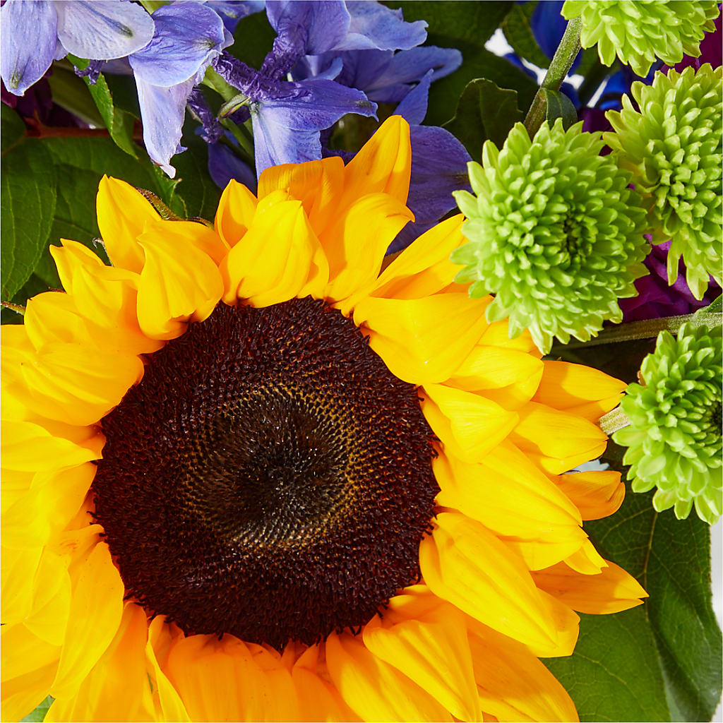Catching Rays Bouquet –  Flowers By Roger Inc, Middletown OH