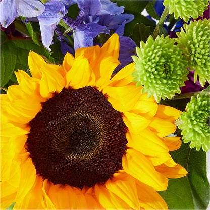 Catching Rays Bouquet –  Flowers By Roger Inc, Middletown OH