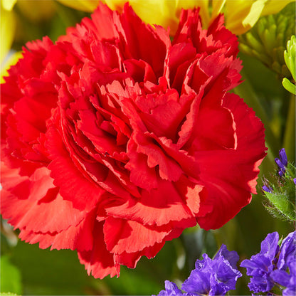 Brighter Days Bouquet –  Flowers By Roger Inc, Middletown OH