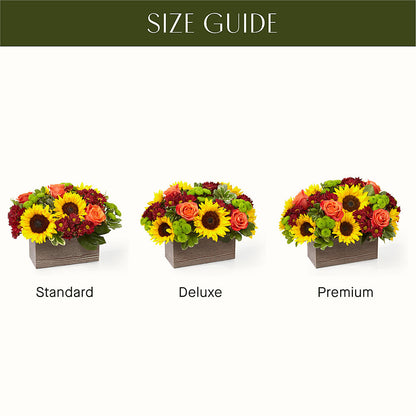 Happy Harvest Garden –  Flowers By Roger Inc, Middletown OH