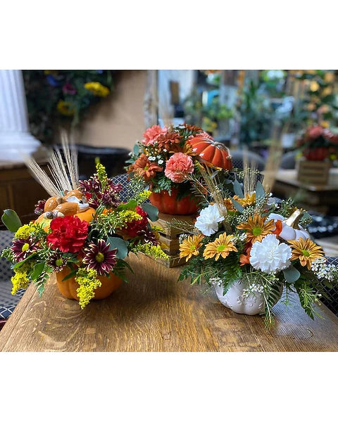 Our Pick of the Patch ~ FBR Special!