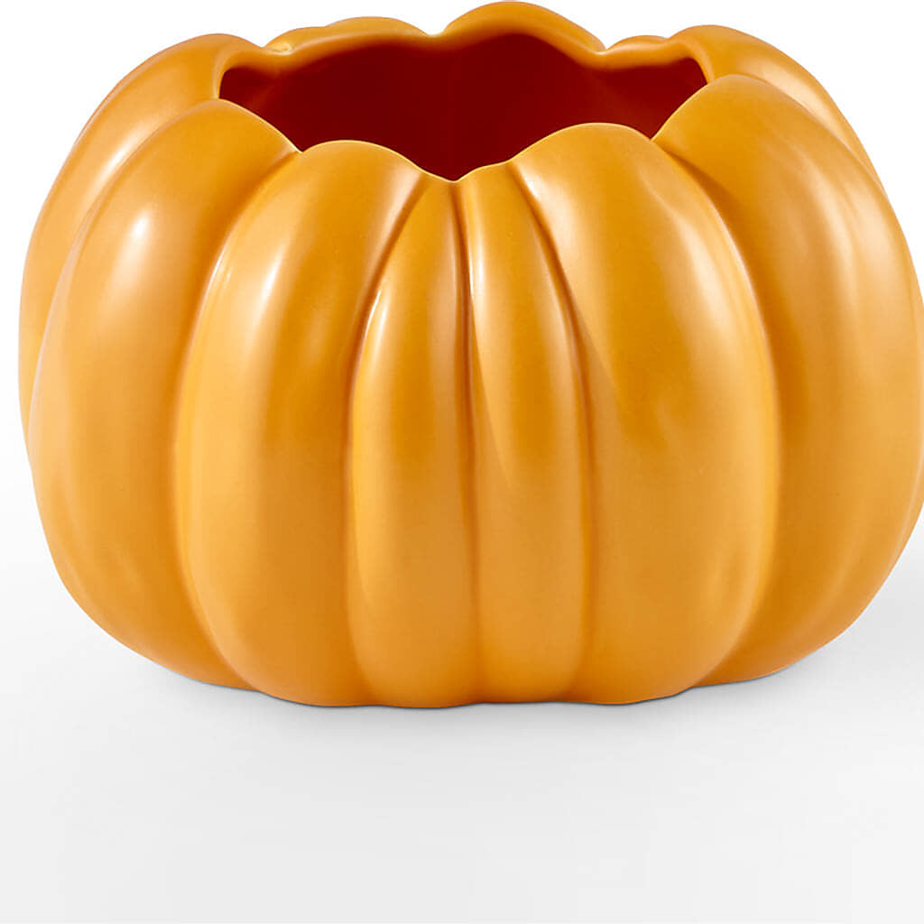 Golden Gourd Pumpkin Bouquet –  Flowers By Roger Inc, Middletown OH