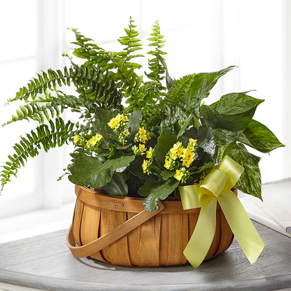 Always Dear Dishgarden –  Flowers By Roger Inc, Middletown OH