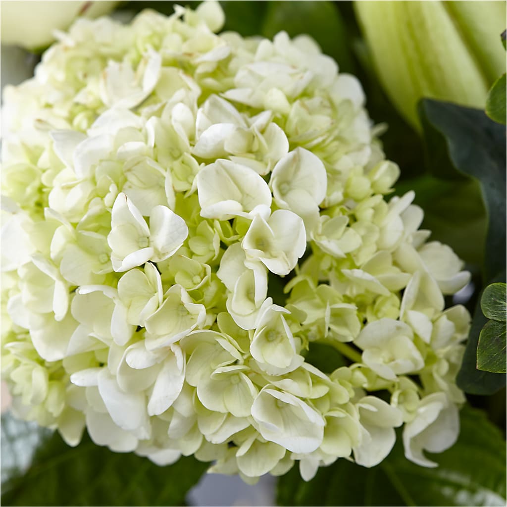 Classic Ivory – A Florist Original –  Flowers By Roger Inc, Middletown OH