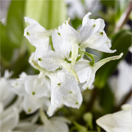 Classic Ivory – A Florist Original –  Flowers By Roger Inc, Middletown OH