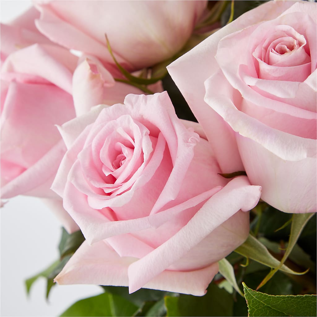Picture Perfect Pink Rose Bouquet –  Flowers By Roger Inc, Middletown OH