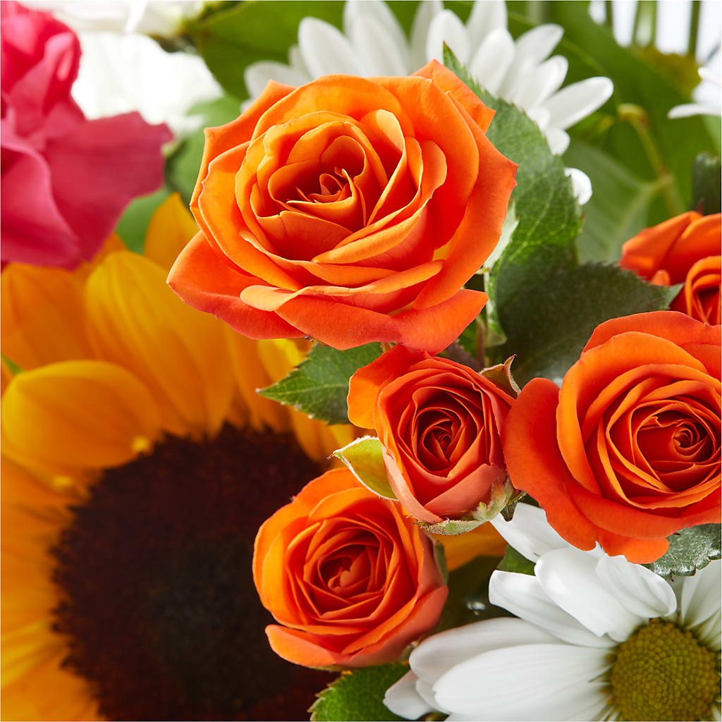 Sun-drenched Blooms Bouquet –  Flowers By Roger Inc, Middletown OH