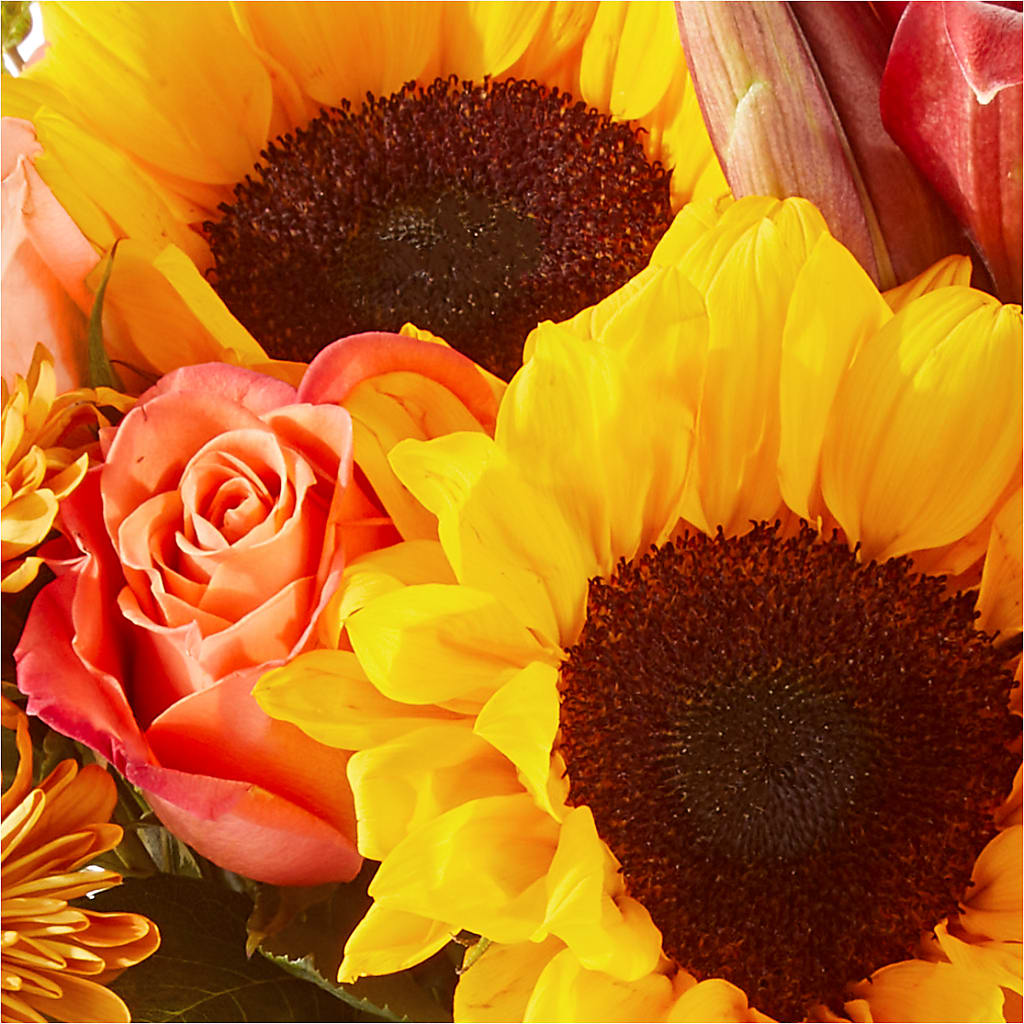 Acorn Lane Bouquet –  Flowers By Roger Inc, Middletown OH
