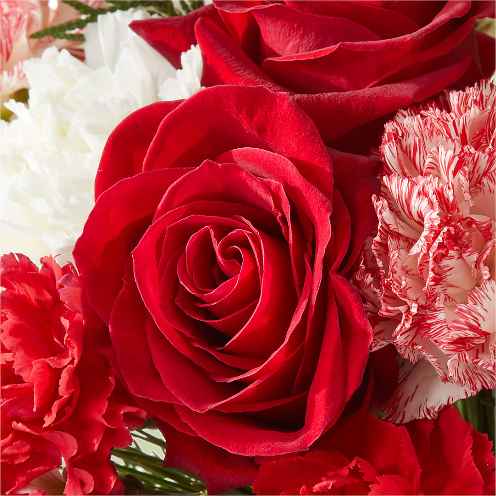 Candy Cane Lane Bouquet –  Flowers By Roger Inc, Middletown OH