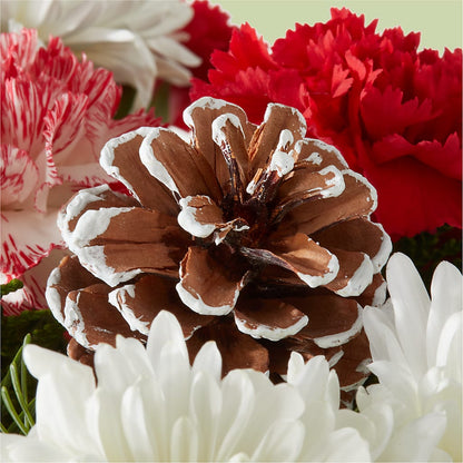 Candy Cane Lane Bouquet –  Flowers By Roger Inc, Middletown OH