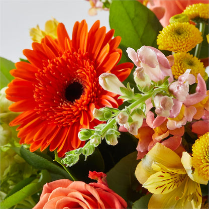 Autumn Sunshine Bouquet –  Flowers By Roger Inc, Middletown OH