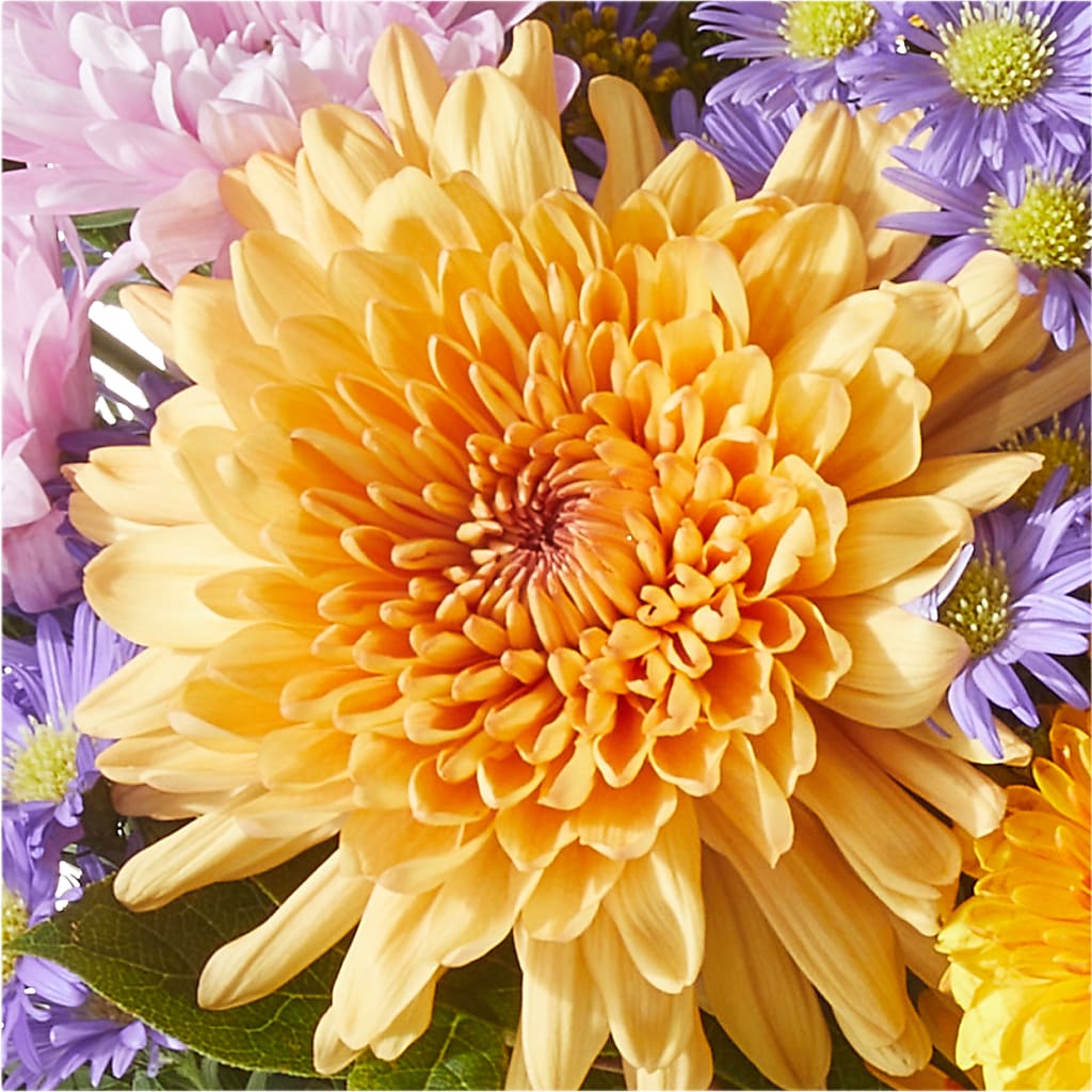 Countryside Bouquet –  Flowers By Roger Inc, Middletown OH
