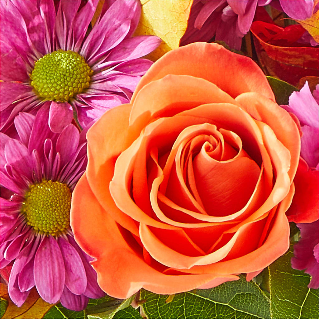 Mum's the Word Bouquet –  Flowers By Roger Inc, Middletown OH