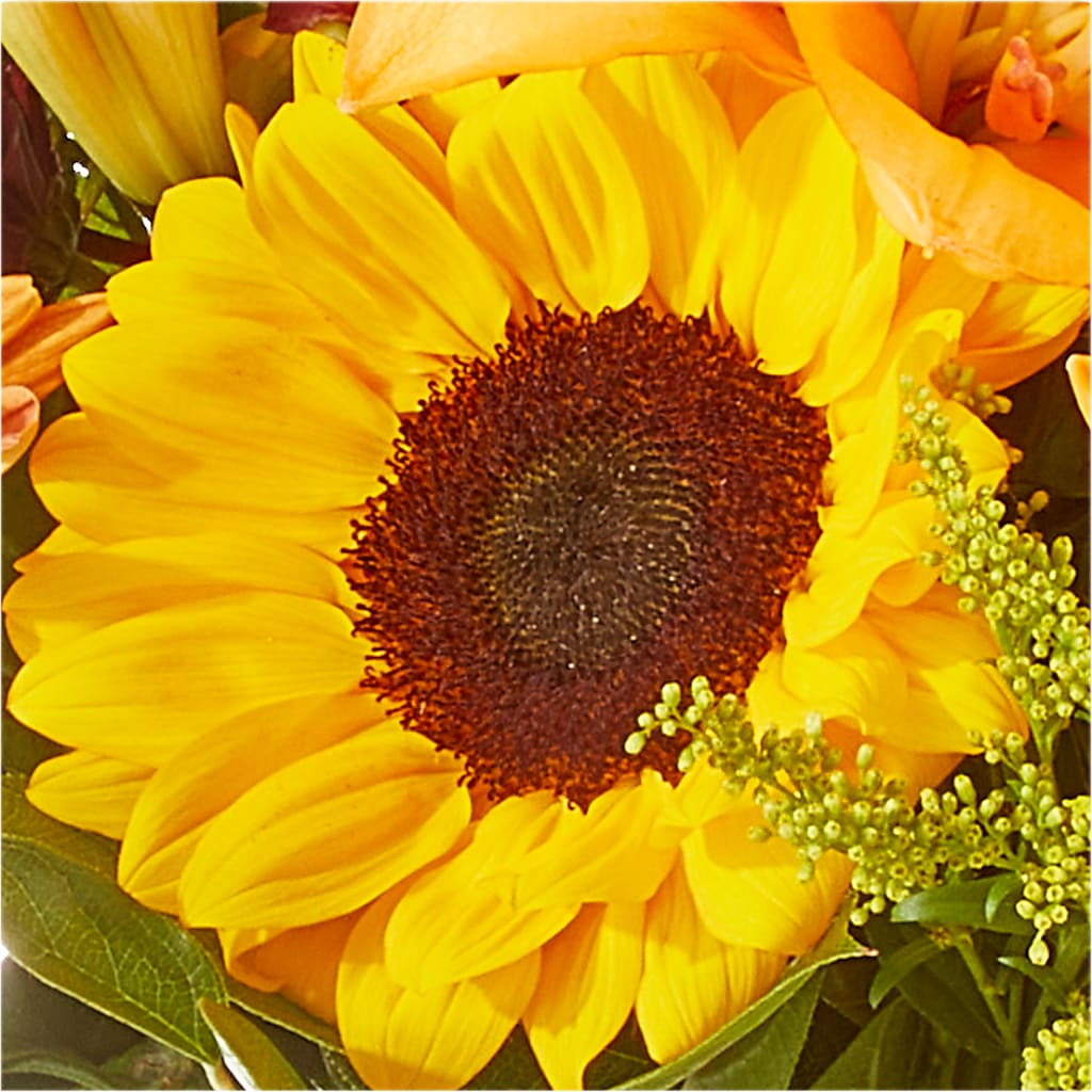 Seasons Change Bouquet –  Flowers By Roger Inc, Middletown OH