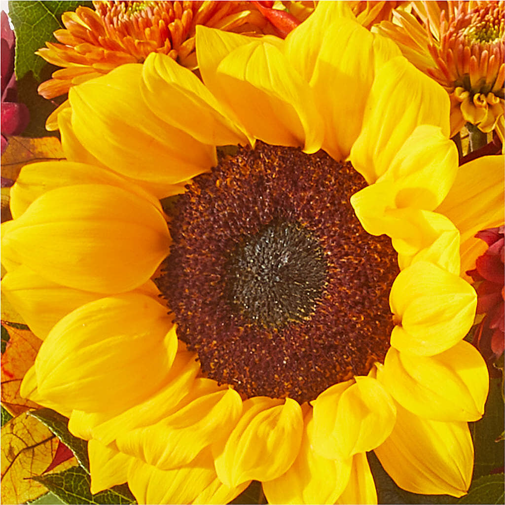 Sunny Side Bouquet –  Flowers By Roger Inc, Middletown OH