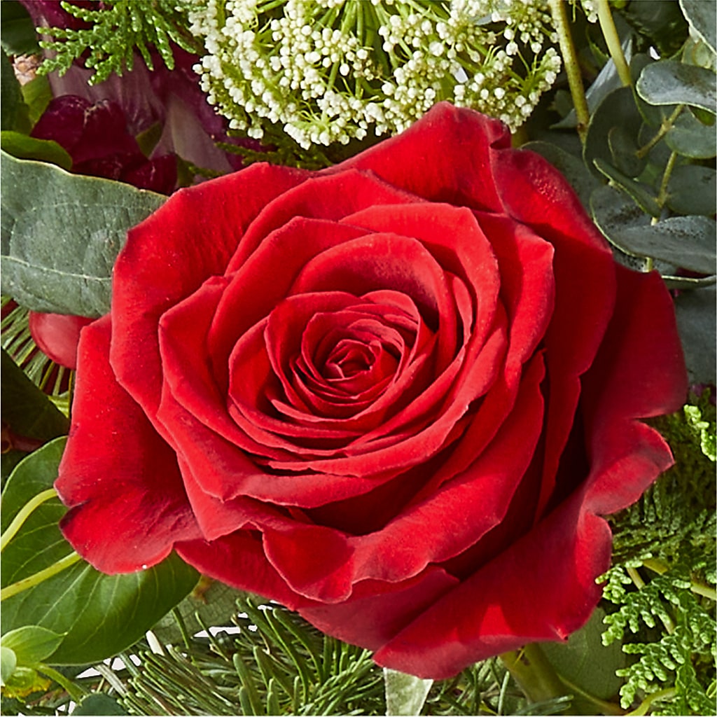 Cranberry Fizz Bouquet –  Flowers By Roger Inc, Middletown OH