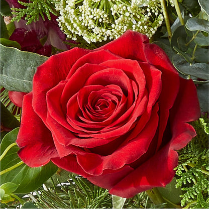 Cranberry Fizz Bouquet –  Flowers By Roger Inc, Middletown OH