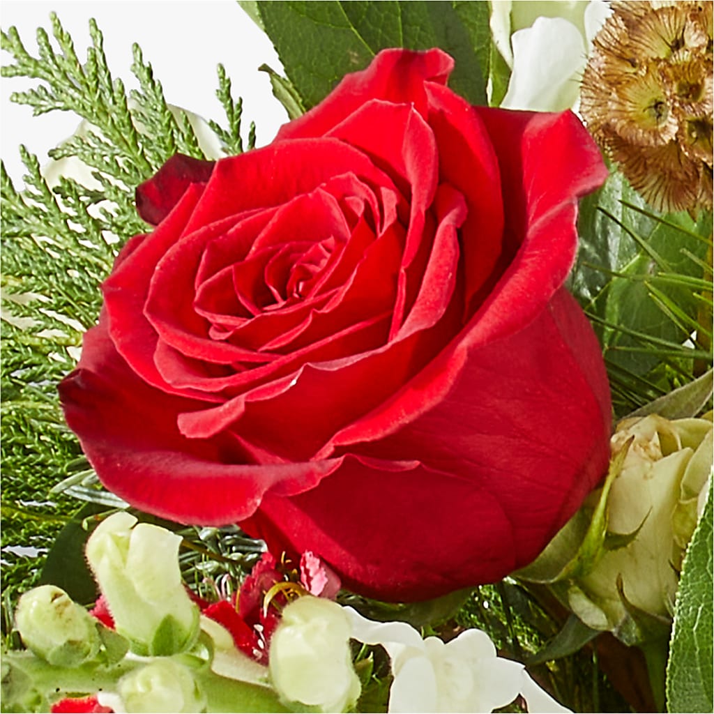 Deck the Halls Bouquet –  Flowers By Roger Inc, Middletown OH