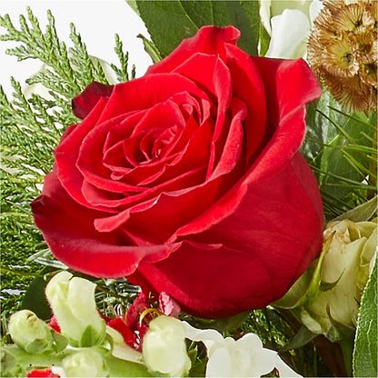 Deck the Halls Bouquet –  Flowers By Roger Inc, Middletown OH