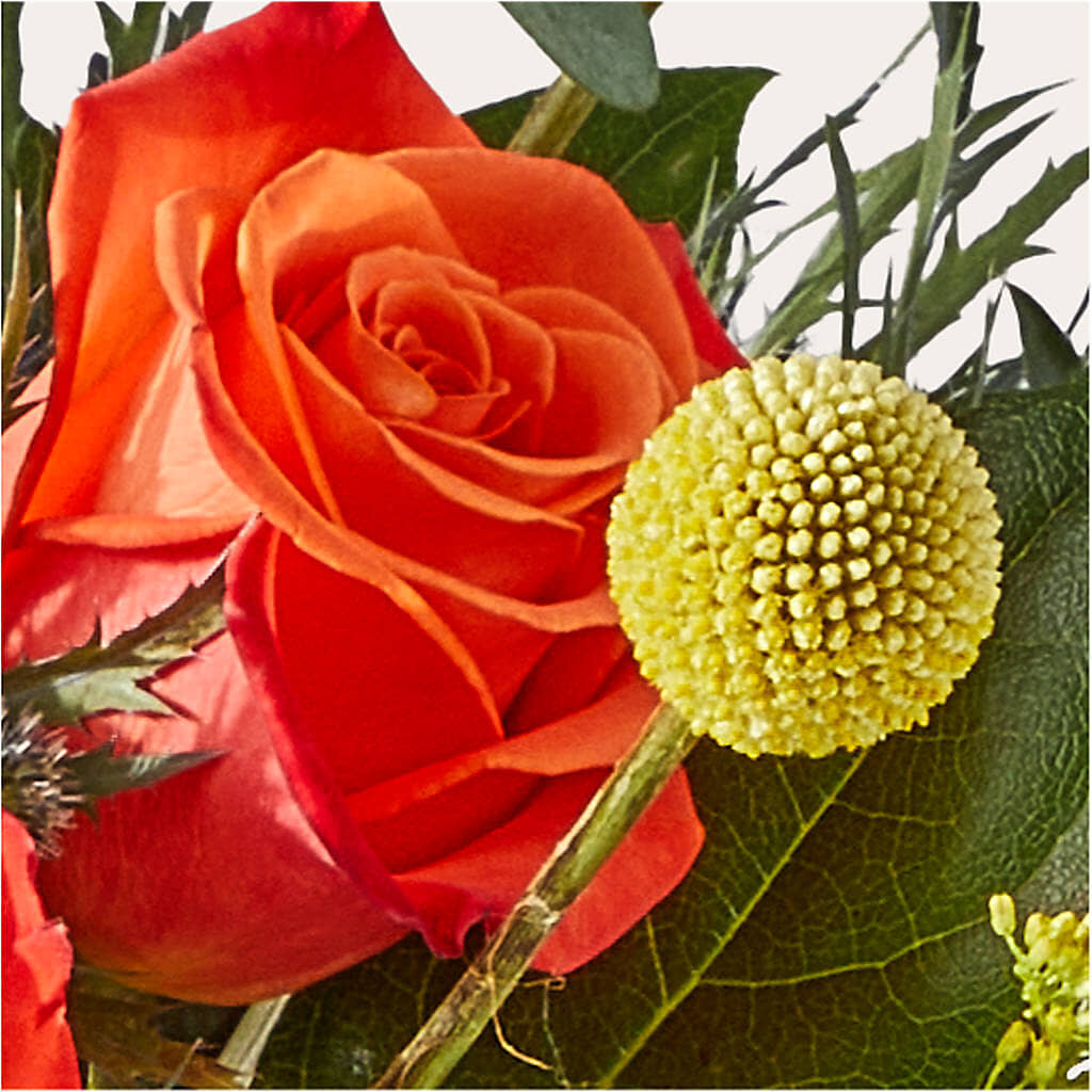 Disco Bouquet –  Flowers By Roger Inc, Middletown OH