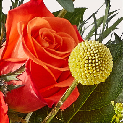 Disco Bouquet –  Flowers By Roger Inc, Middletown OH