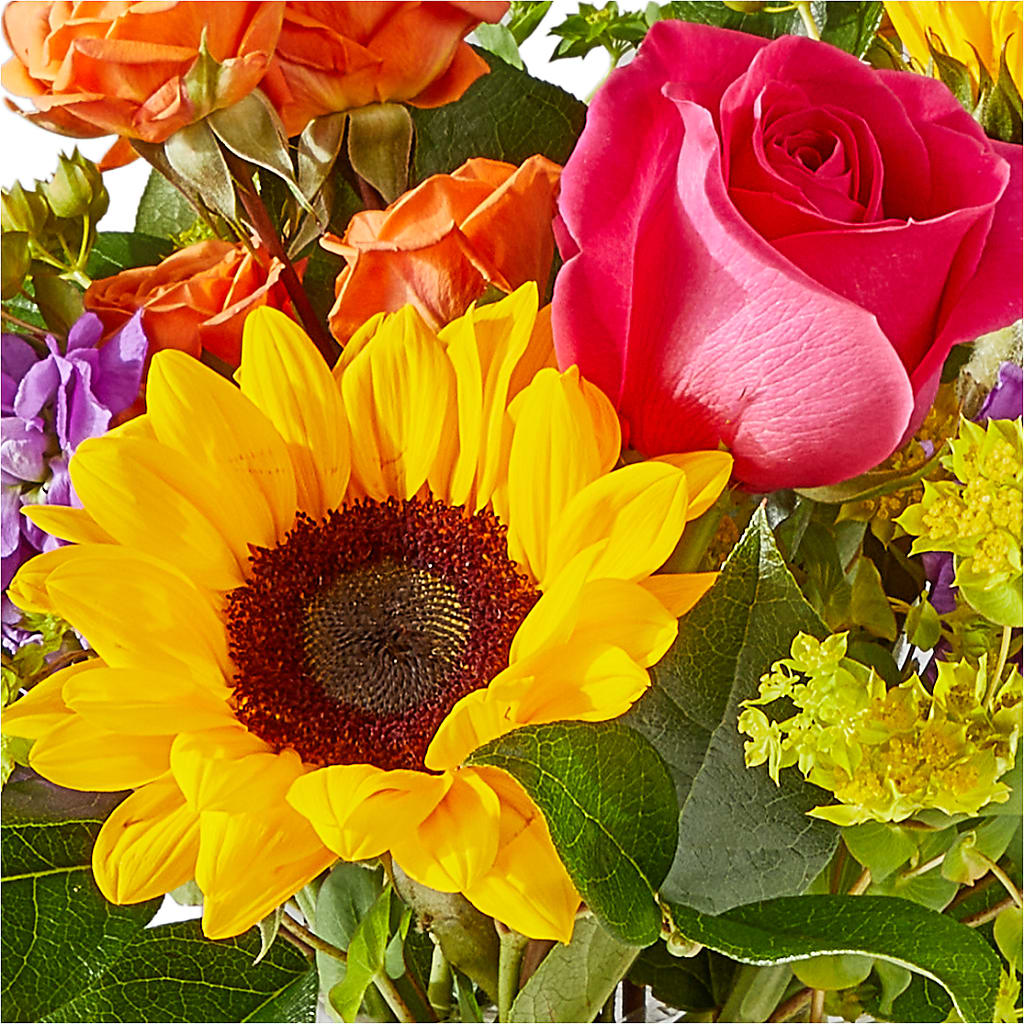 Vibrant Greetings Bouquet –  Flowers By Roger Inc, Middletown OH