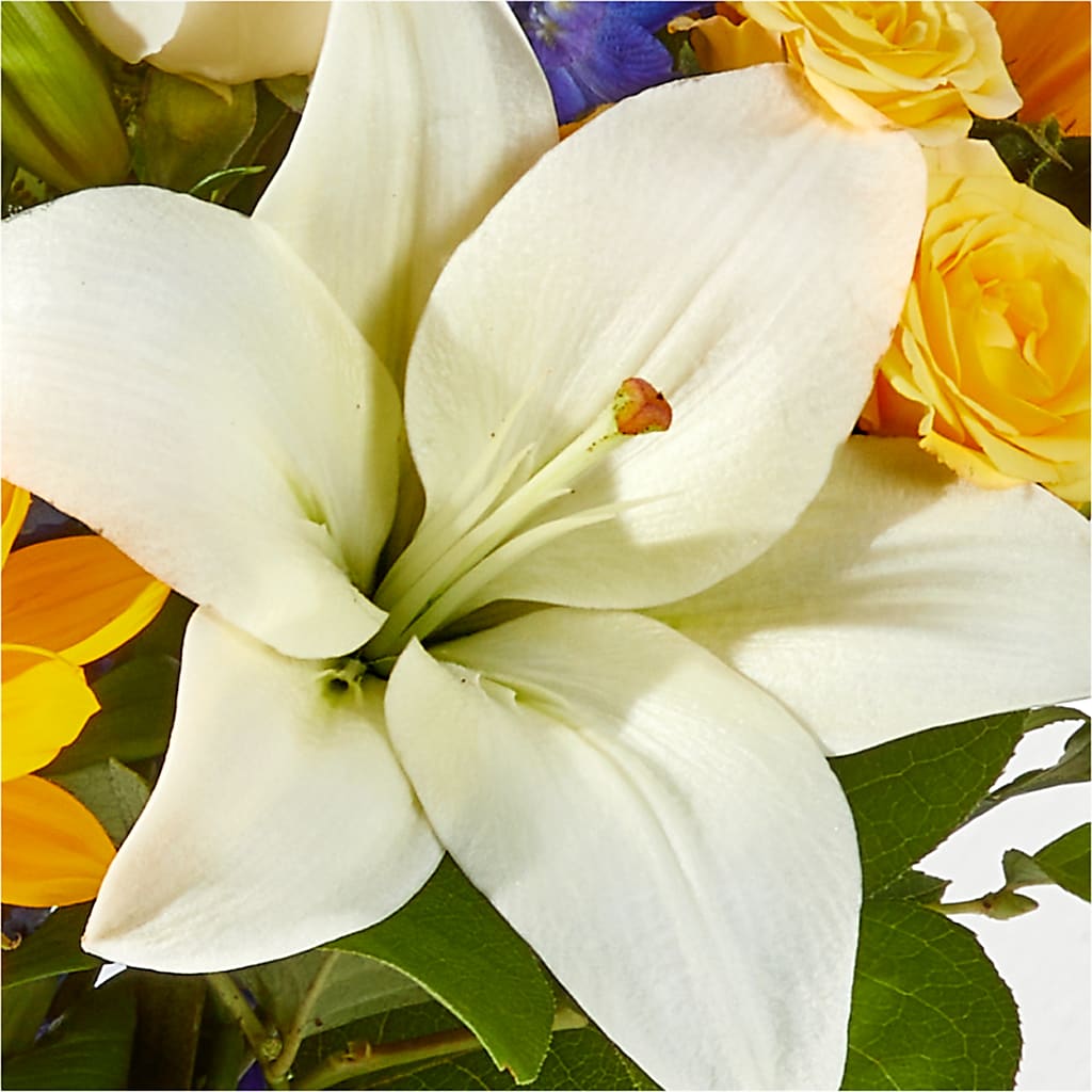 Wonderfully Sunny Bouquet –  Flowers By Roger Inc, Middletown OH