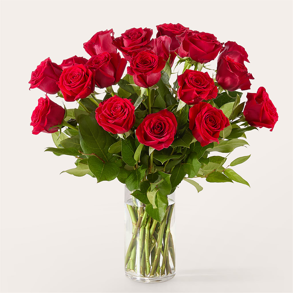 The One Red Rose Bouquet –  Flowers By Roger Inc, Middletown OH